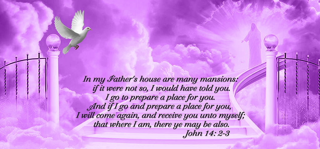 Heavens Gate Purple PROOF